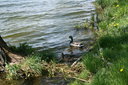 gal/pyrkomania - 1-4.05.08/_thb_small-IMG_2911.JPG